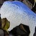 Blue Sky Buffalo With Skyline