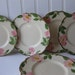 Vintage Franciscan Desert Rose USA Pink Green Bread & Butter Plates Set of Six