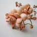 Unique Vintage Peach Shell Earrings