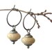 fossilized coral earrings with sterling silver hoops