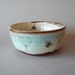 Plant and bee bowl