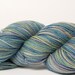 Hand Painted Blue Iris Sock Yarn