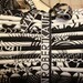 Night and Day - fat quarters-SALE