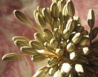 Vintage Millinery Stamens Sage and Cream