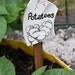 TO ORDER Up-cycled Drawn on Seed Marker
