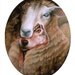 Wolf in sheep's clothing art print