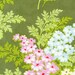 Going Out Of Business Sale Picnic Bouquet in Moss, Heather Bailey Nicey Jane Fabric, 1 Yard