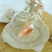 Vintage Glass Display Dome For Assemblage