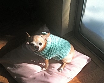 Immediate Download - PDF Crochet Pattern for the Snow Daze Dog Sweater