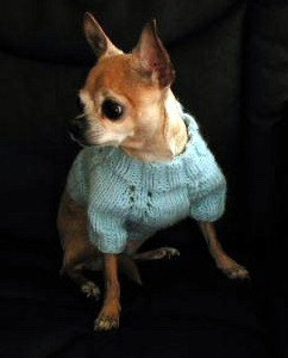 Short Sleeve Raglan Style Dog Sweater Pattern for Knitting