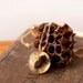 Round Real Bee Necklace, Colony Collapse Jewelry