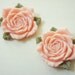 2 pcs Gorgeous Rose Cabochon (41mm43mm) Light Salmon Pink FL195
