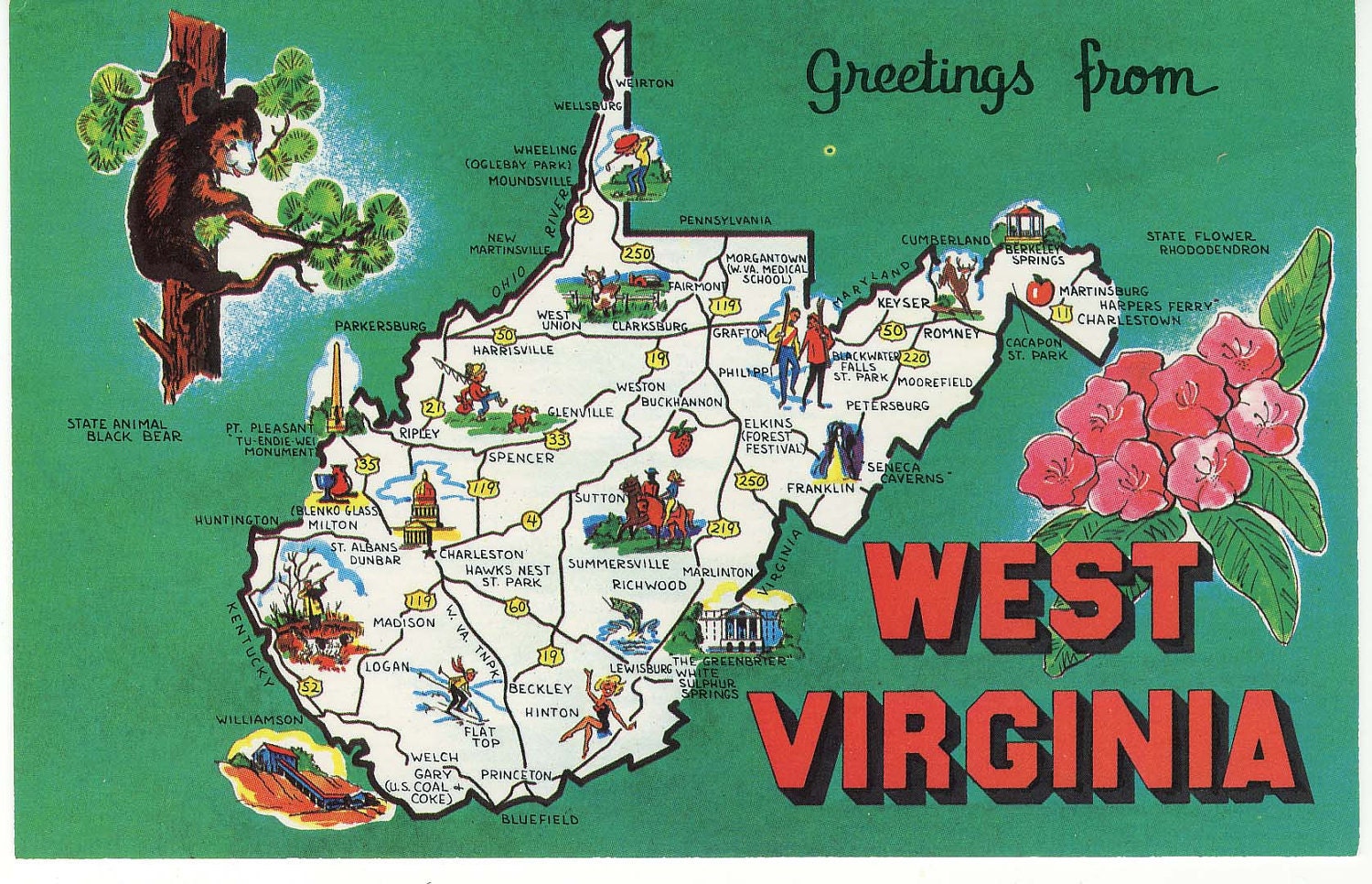 Vintage Postcard Greeting from West Virginia State Bear