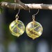 Blown Glass Earrings with goldfill earwires, yellow and gold glitter stripes