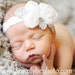 Baby Headband - Holiday Baby Headband White- White Chiffon Flower On A White Shimmery Stretch Headband- Baby Infant Toddler (WB)