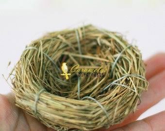 Set of 3 Natural Bird Nests 2 1/4 inch