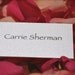 Pearlized White Metallic Place Cards/Escort Cards (2 x 3) - Set of 100