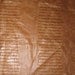 Brown Embossed GATOR Leather Hide