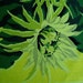 Vintage Mid Century Tablecloth Large Floral Lime Green