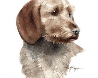 BASSET FAUVE de BRETAGNE Dog Art Print Signed by Artist D J Rogers