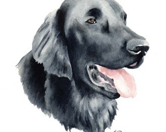 Flat Coated Retriever Dog Art Print Signed by Artist DJ Rogers