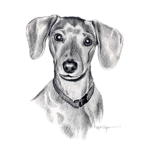 MINIATURE DACHSHUND Dog Pencil Drawing Art Print Signed by