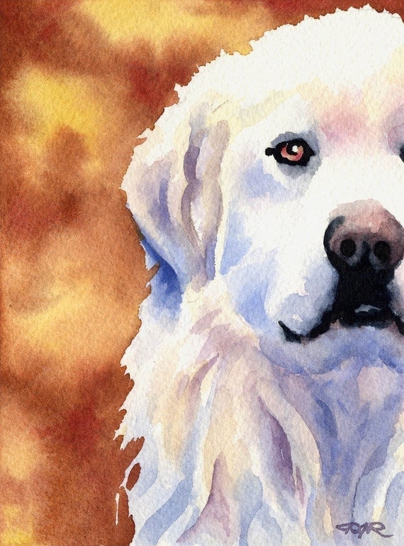 GREAT PYRENEES Art Print Signed by Artist DJ Rogers