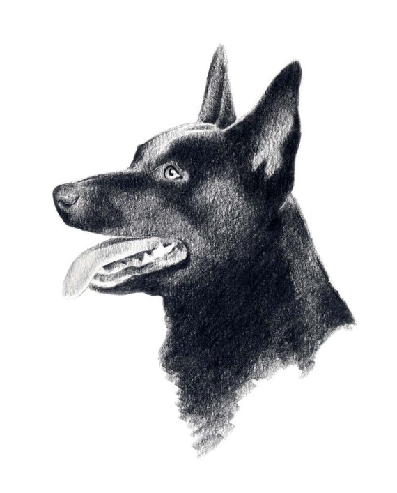 AUSTRALIAN KELPIE Dog Art Print Signed by Artist DJ Rogers