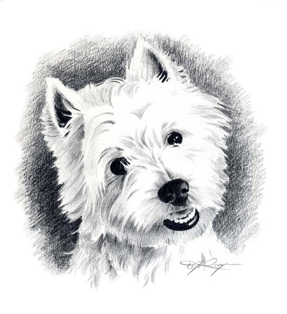 WEST HIGHLAND TERRIER Dog Pencil Drawing Art Print Signed by