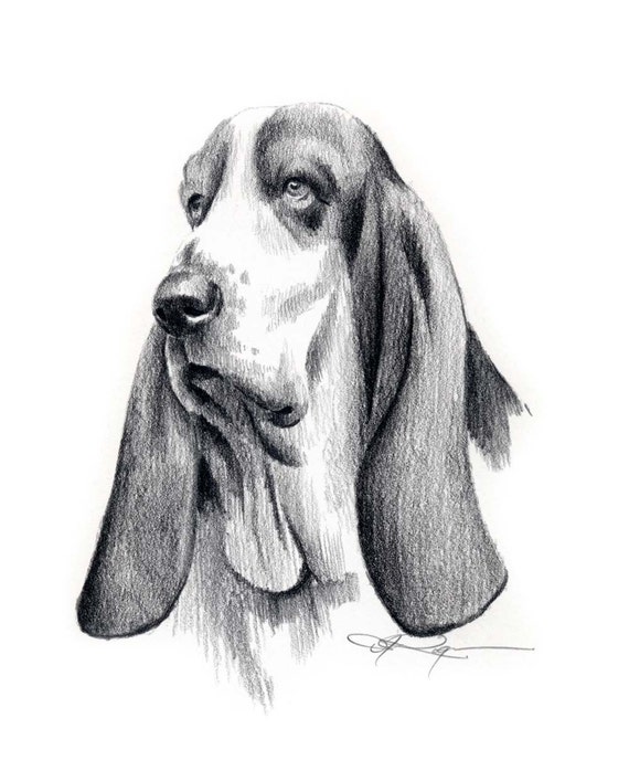 BASSET HOUND Dog Art Print Signed by Artist DJ Rogers