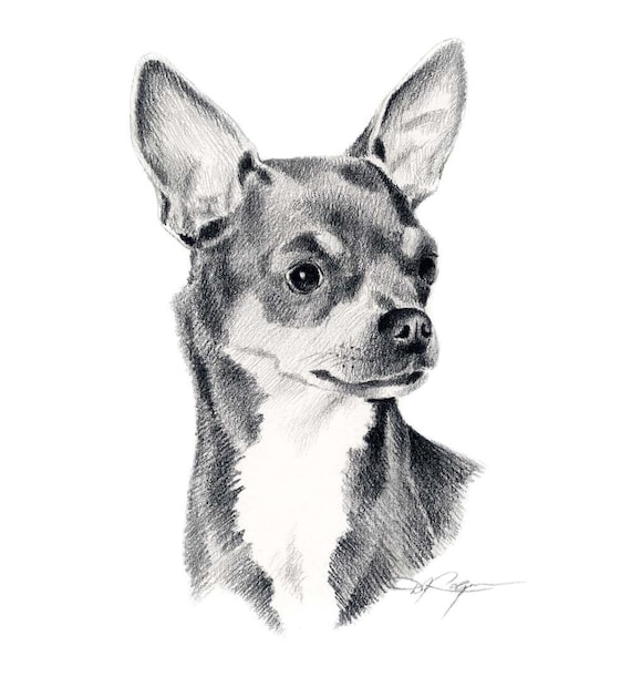CHIHUAHUA Dog Art Print Signed by Artist DJ Rogers