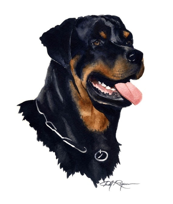 Rottweiler Art Print by Watercolor Artist DJ Rogers