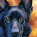 BLACK GERMAN SHEPHERD Dog Art Print Signed by Artist DJ Rogers