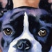 BOSTON TERRIER Dog Art Print Signed by Artist DJ Rogers
