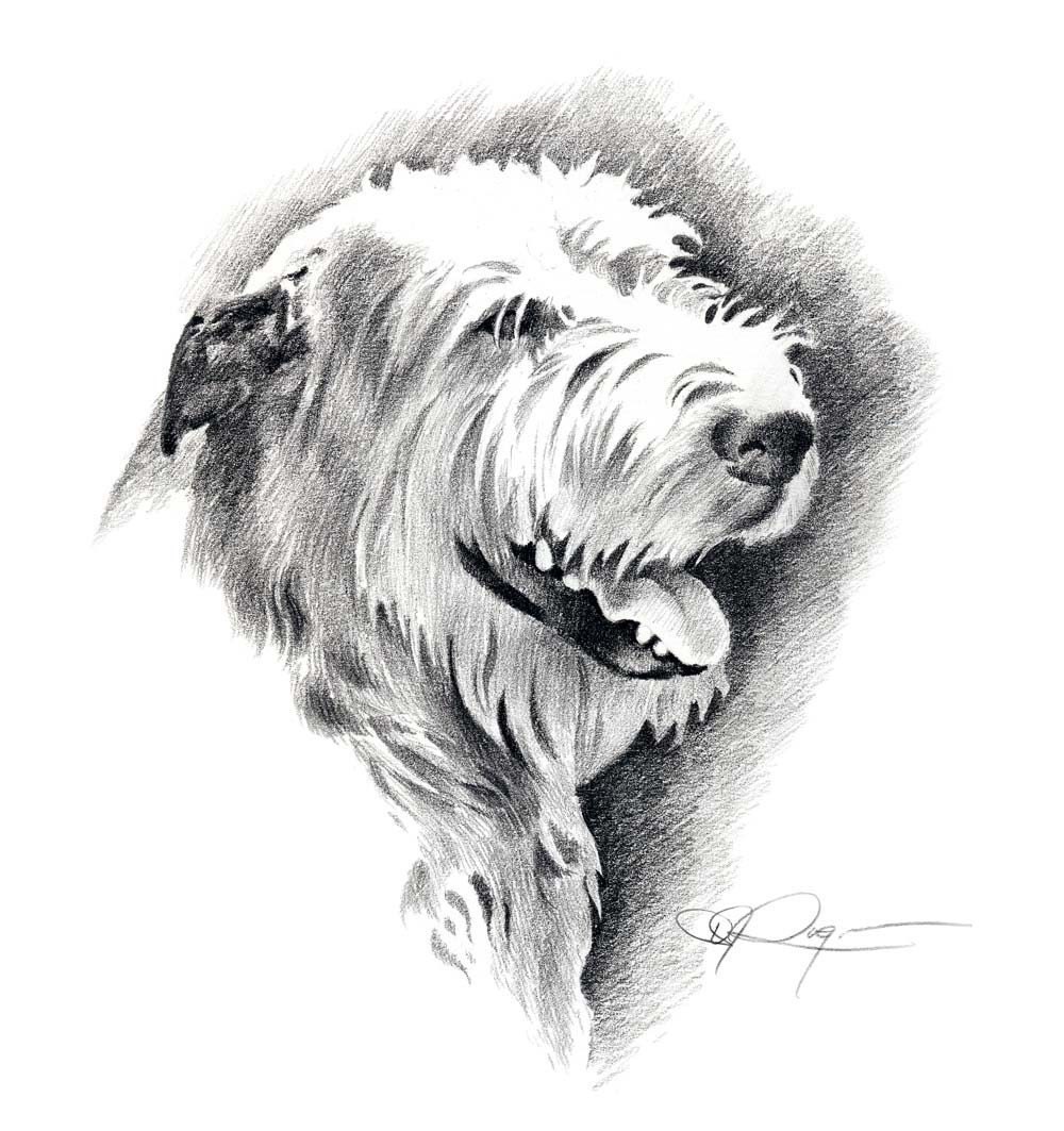 Download IRISH WOLFHOUND Dog Art Print Signed by Artist DJ Rogers