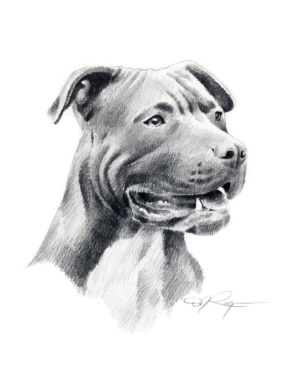 American Pit Bull Terrier Dog Signed Art Print by Artist DJ