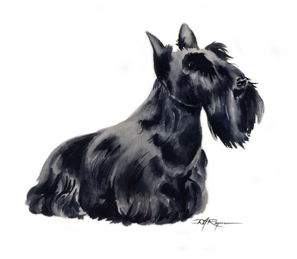 SCOTTISH TERRIER Dog Watercolor Painting Art Print Signed by