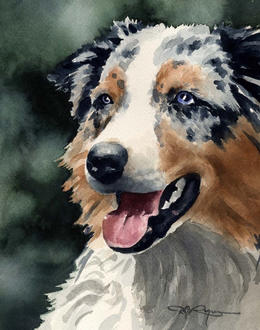 AUSTRALIAN SHEPHERD Art Print Signed by Artist DJ Rogers