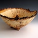 Bark Edge Oak Burl Wood Turned Bowl