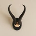 Authentic Gazelle horns mounted on handmade wooden plaque