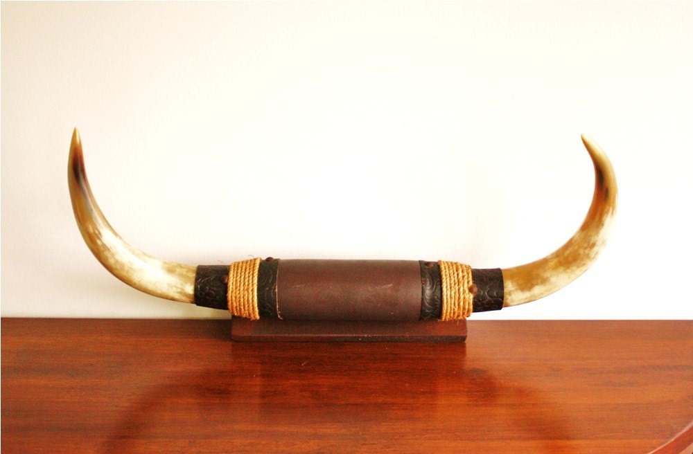 XL vintage bull horns on wooden plaque steer