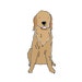 Golden Retriever Illustration