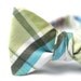 aquarium freestyle bow tie