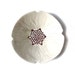 SALE NOW ON - Poppy serving bowl in cream stoneware ceramic