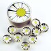Funky Glass Push Pins Thumb Tacks Cork Board Pins in Lazy Daisy with Gift Tin (PT12)