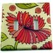 Light Switch Cover Wall Plates Double Switchplate Switch Plate in Marmalade (115D)