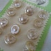 Set of 12 VINTAGE Frosted Tan Glass BUTTONS