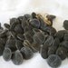 Set of over 50 ANTIQUE Pierced Metal Twinkle BUTTONS