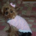 SIMPLY DARLING Dog Sweater Crochet Pattern