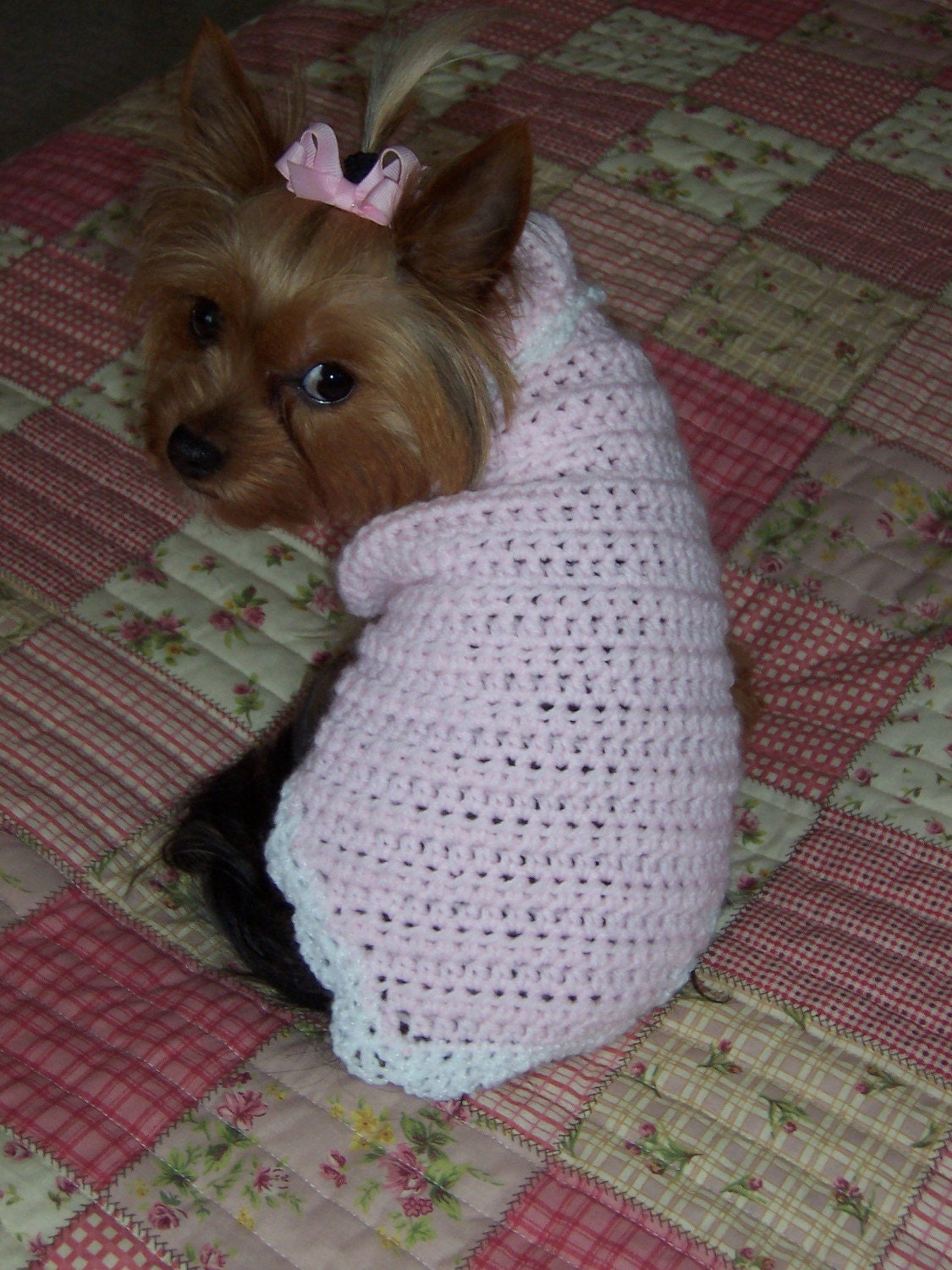 SIMPLY DELIGHTFUL Dog Sweater Pattern Crochet Knit